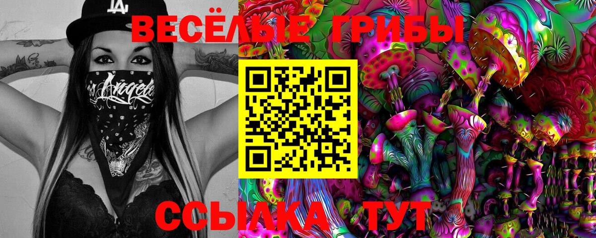 Галлюциногенные грибы мицелий  Галлюциногенные грибы прущие грибы  Вход с VPN  где можно купить наркотик  Новосибирск 